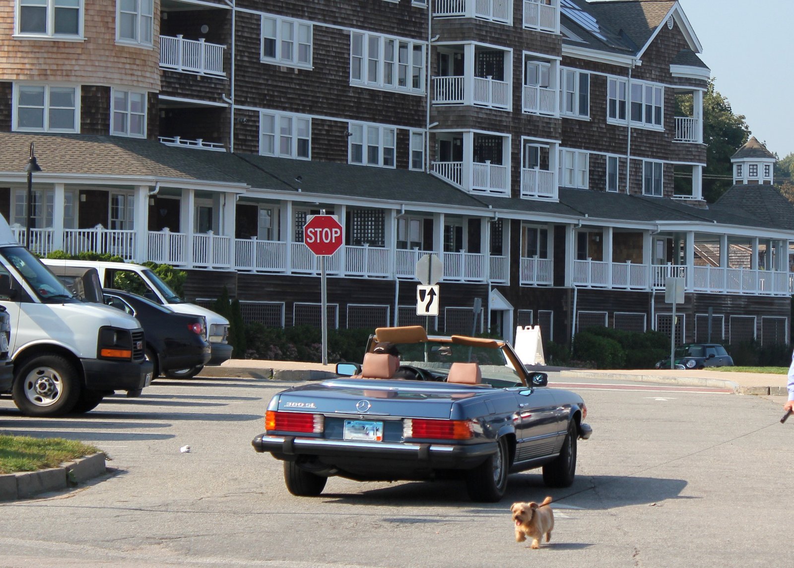 39-IMG_3942