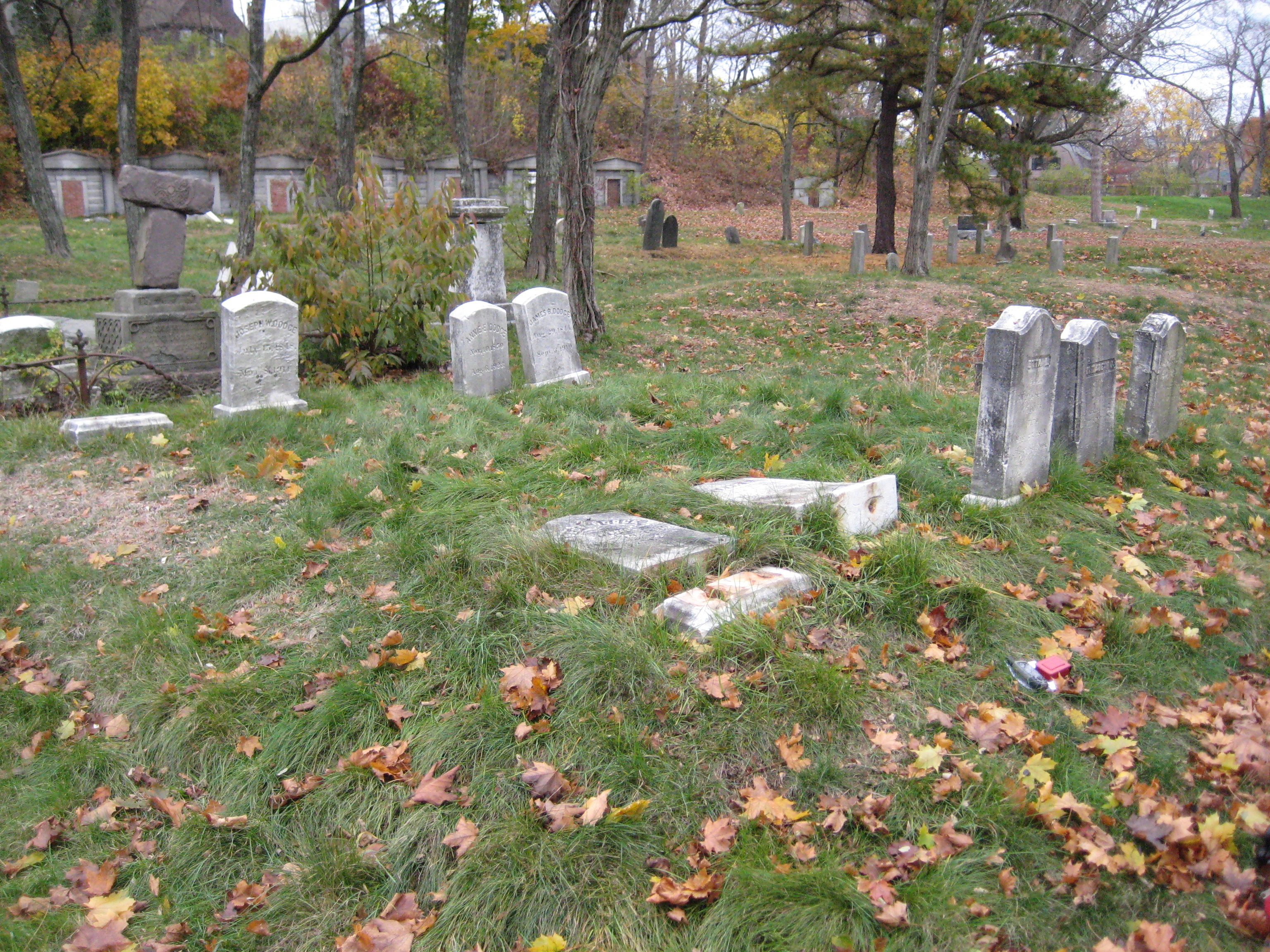 Site