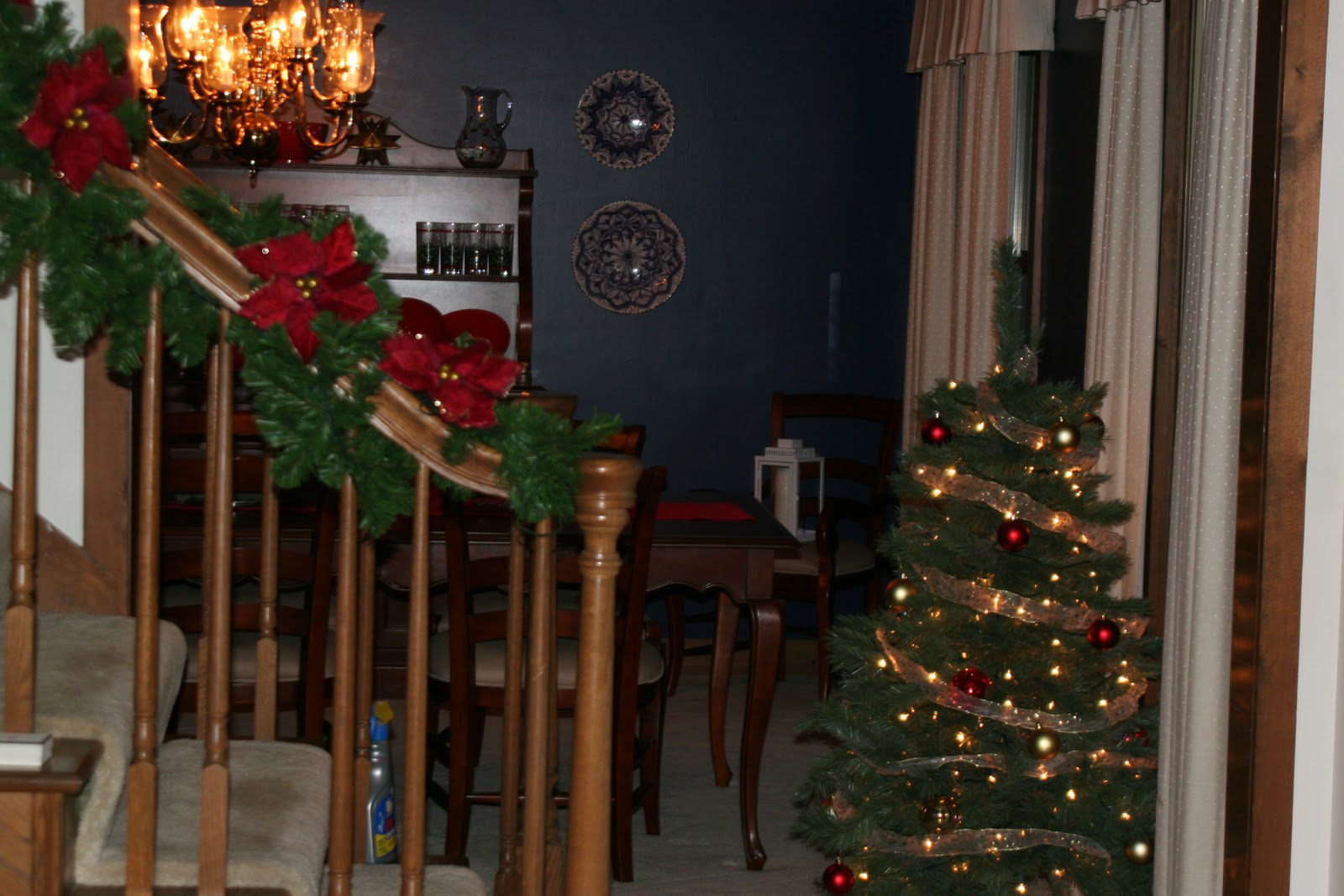 November 2010 075