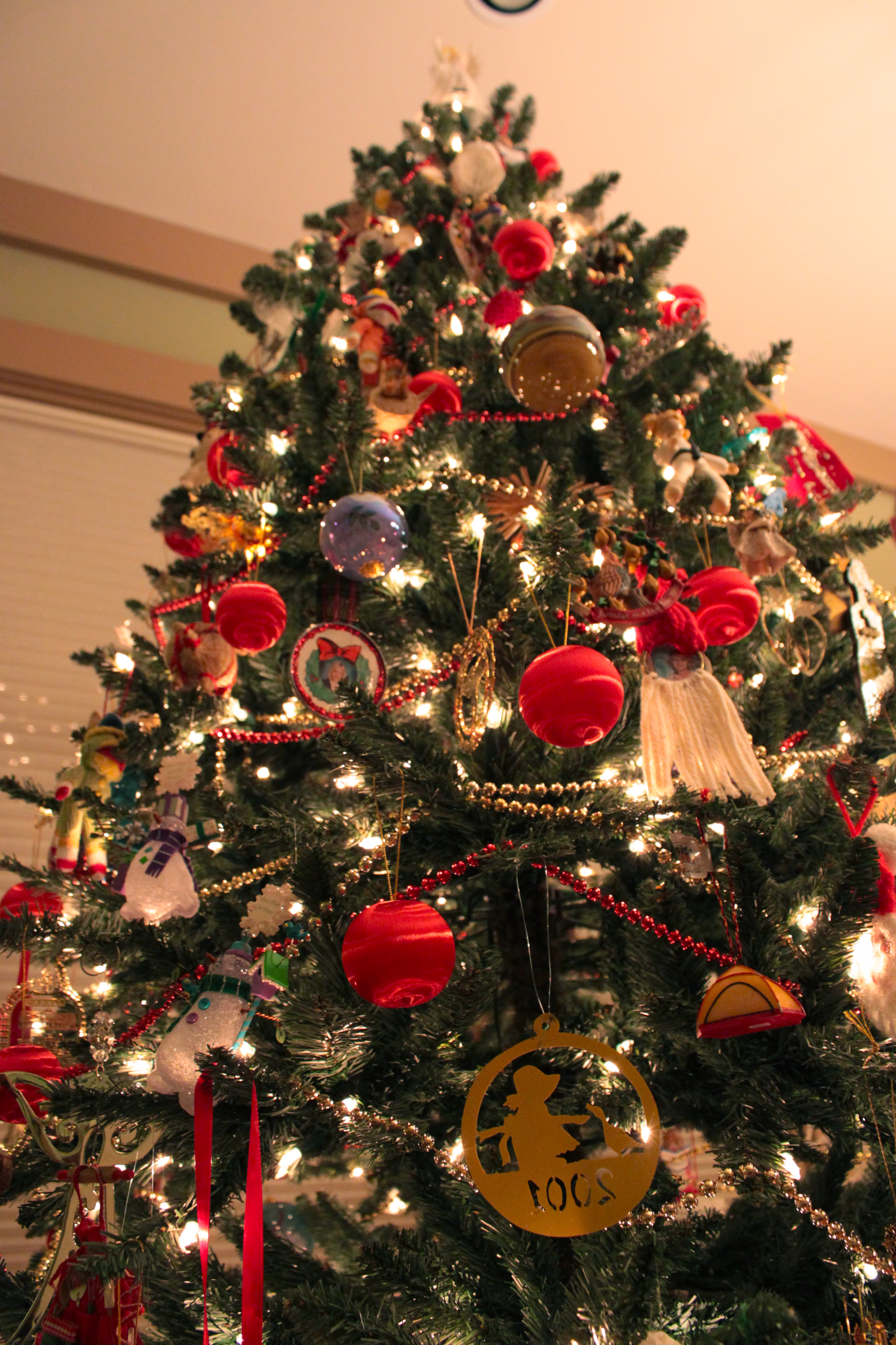 tree