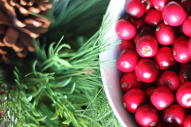 Crate and Barrel Cranberry Bowl Filler 2