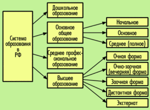Система школьного образования в россии: структура и обучение